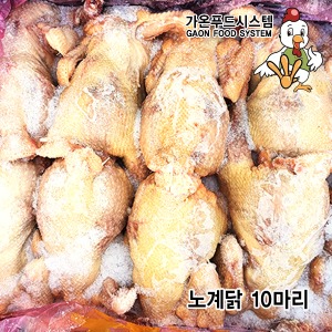 국내산,산란닭,노계닭(대형/특대형)x10마리,육수용,국물용